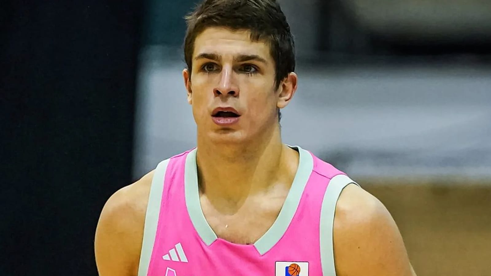 nikola djurisic erobert das rampenlicht