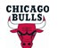 Bulls logo mini