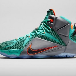 Un ciudadano había robado cerca de un millón de dólares en zapatillas de LeBron James