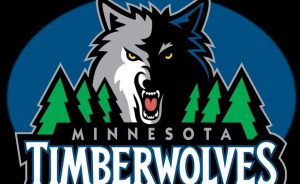 Los Timberwolves tendrán equipo en la D-League